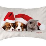 ΧΡΙΣΤΟΥΓΕΝΝΙΑΤΙΚΟ ΜΑΞΙΛΑΡΙ SAINT CLAIR 4007