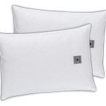 Μαξιλάρια Ύπνου 50x70 1+1 ΔΩΡΟ 100% Φτεράκι Guy Laroche Siberian Goose Pillow