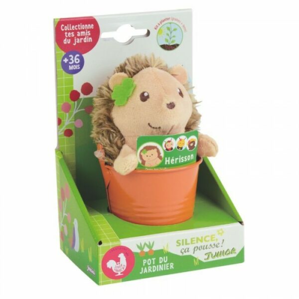 Γλαστράκι Με Σπόρους & Λούτρινο Σκαντζόχειρος