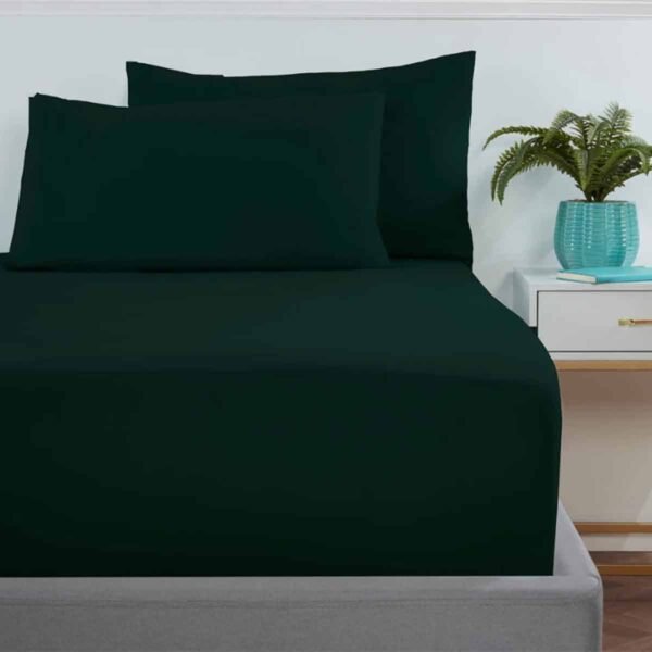 Σεντόνι Με Λάστιχο (160x200+40) Green Astron Italy