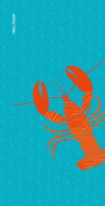 Πετσέτα Θαλάσσης 80×160 Feel And Touch  Printed 01