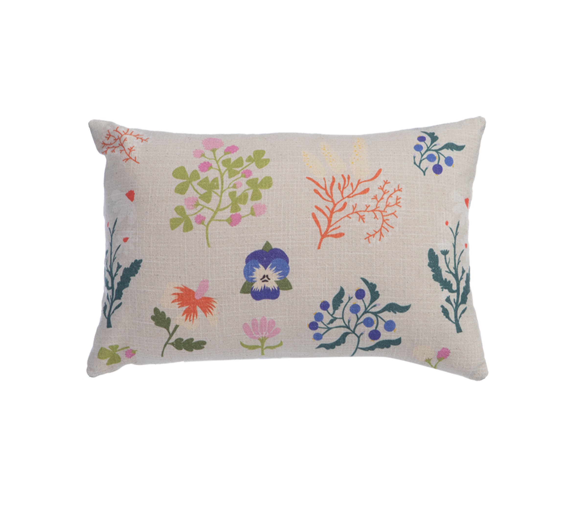 5205495604985 Διακοσμητική Μαξιλαροθήκη 30×50 Nef Nef Grace Multi - Image 1