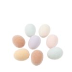 Beauty Home 8 Αυγά σε Διάφορα Χρώματα  Ø3,5×4,5 CM