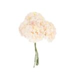 Beauty Home 6 ΟΡΤΑΝΣΙΕΣ 10cm