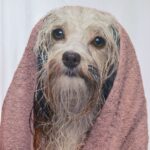 LINO ΚΟΥΡΤΙΝΑ ΜΠΑΝΙΟΥ DOGGA 180X200 - Image 3