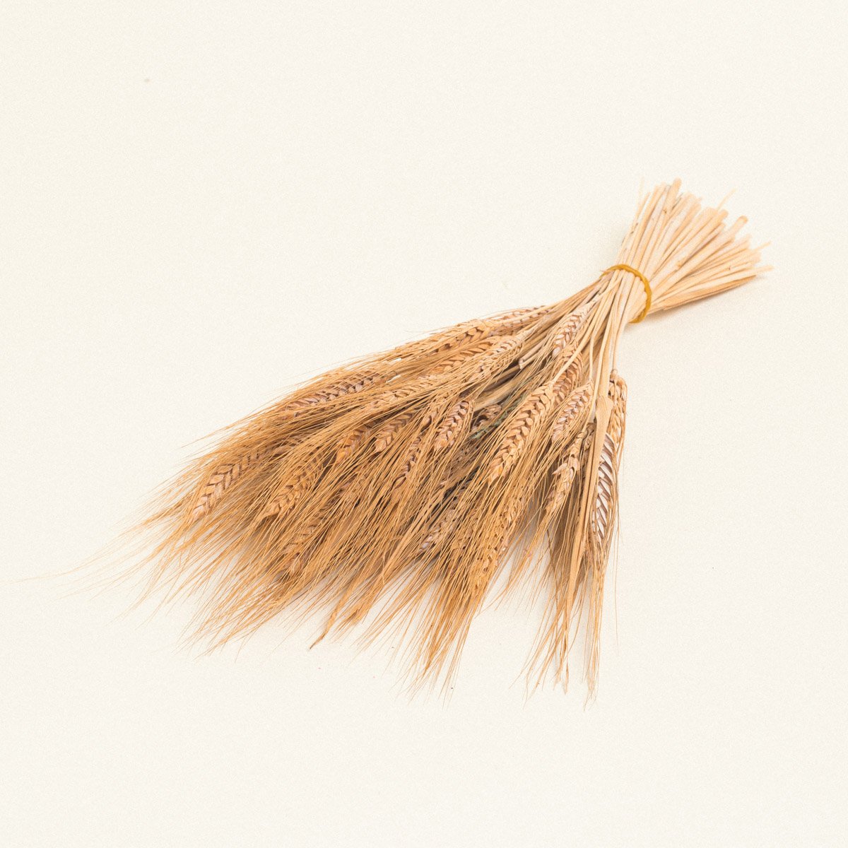 2e9b3185-2762-4e62-9582-a381c3076fa6 Beauty Home ΣΤΑΧΥ - Image 1