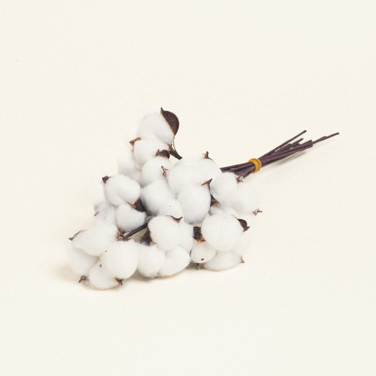 ebe715a9-1fa2-40ec-a847-e426d656739d Beauty Home ΒΑΜΒΑΚΙ - Image 1