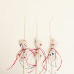 Beauty Home ΚΕΡΑΚΙΑ ΚΟΛΥΜΒΗΘΡΑΣ ΜΙΚΡΕΣ ΣΗΜΑΙΕΣ