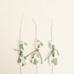 Beauty Home ΚΕΡΑΚΙΑ ΚΟΛΥΜΒΗΘΡΑΣ ΚΙΣΣΟΣ ΜΕ ΟΨΗ ΑΚΟΥΑΡΕΛΑΣ