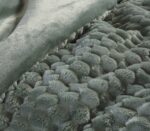 Κουβερτοπάπλωμα Υπέρδιπλο 220x240 Nef Nef Lernia Mauve - Image 5