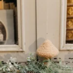 Beauty Home Μανιτάρι ξύλινο μπουκλέ μπεζ Ø7.5 x 13.5 cm - Image 3