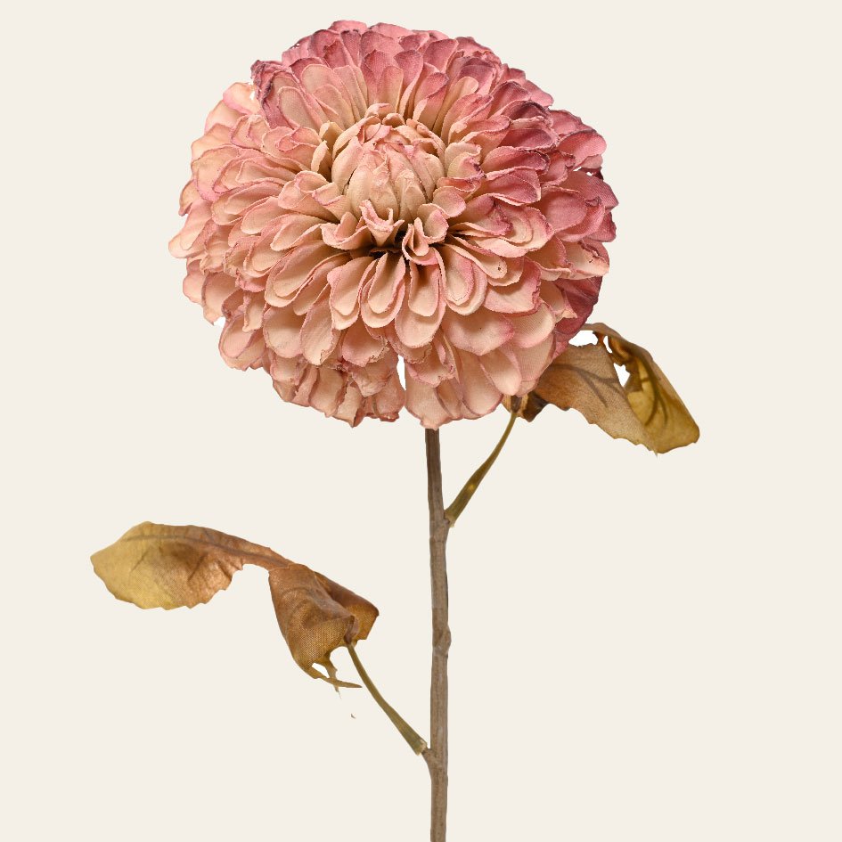 18bafcfe-8e98-4540-83b2-82355aeb7be0 Beauty Home ΛΟΥΛΟΥΔΙ ΝΤΑΛΙΑ 76 CM - Image 1