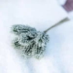 Beauty Home 6 κλαδιά έλατου πράσινα με ιριδίζον γκλίτερ 14.5 cm - Image 3