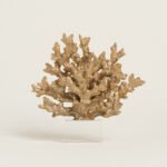 Beauty Home ΚΟΡΑΛΙ ΧΡΥΣΟ ΜΕ ΒΑΣΗ PLEXI GLASS 24 x 24 cm