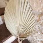 Beauty Home ΦΥΛΛΑ ΠΑΛΜΑ 70 x 33 cm - Image 3