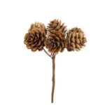 Beauty Home 6 Φυσικά Κουκουνάρια σε Κλαδάκι 11 cm