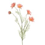 Beauty Home ΜΑΡΓΑΡΙΤΑ ΣΟΜΩΝ