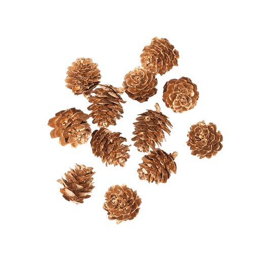 d38c0b1b-f203-4784-aaa3-b710b0a0aafd Beauty Home 12 Κουκουνάρια Χρυσά 2 cm - Image 1