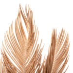 ΔΙΑΚΟΣΜΗΤΙΚΟ ΑΠΟΞΗΡΑΜΕΝΟ ΣΕΤ 3 ΦΥΛΛΩΝ ΦΟΙΝΙΚΑ HM7958 ΧΡΥΣΟ 110Υεκ. - Image 3