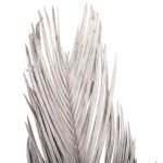 ΔΙΑΚΟΣΜΗΤΙΚΟ ΑΠΟΞΗΡΑΜΕΝΟ ΣΕΤ 3 ΦΥΛΛΩΝ ΦΟΙΝΙΚΑ HM7957 ΑΣΗΜΙ 110Υεκ. - Image 3