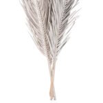 ΔΙΑΚΟΣΜΗΤΙΚΟ ΑΠΟΞΗΡΑΜΕΝΟ ΣΕΤ 3 ΦΥΛΛΩΝ ΦΟΙΝΙΚΑ HM7957 ΑΣΗΜΙ 110Υεκ. - Image 4