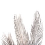 ΔΙΑΚΟΣΜΗΤΙΚΟ ΑΠΟΞΗΡΑΜΕΝΟ ΣΕΤ 3 ΦΥΛΛΩΝ ΦΟΙΝΙΚΑ HM7957 ΑΣΗΜΙ 110Υεκ. - Image 5