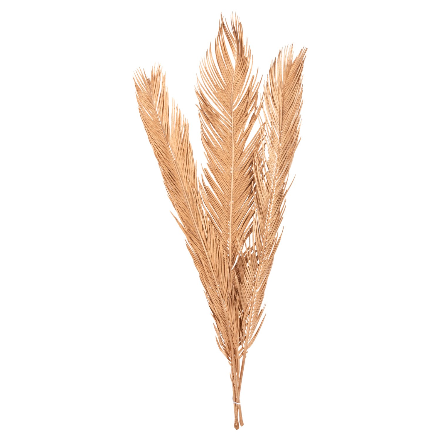 diakosmitiko-apoxirameno-set-3-fyllon-fo ΔΙΑΚΟΣΜΗΤΙΚΟ ΑΠΟΞΗΡΑΜΕΝΟ ΣΕΤ 3 ΦΥΛΛΩΝ ΦΟΙΝΙΚΑ HM7958 ΧΡΥΣΟ 110Υεκ. - Image 1