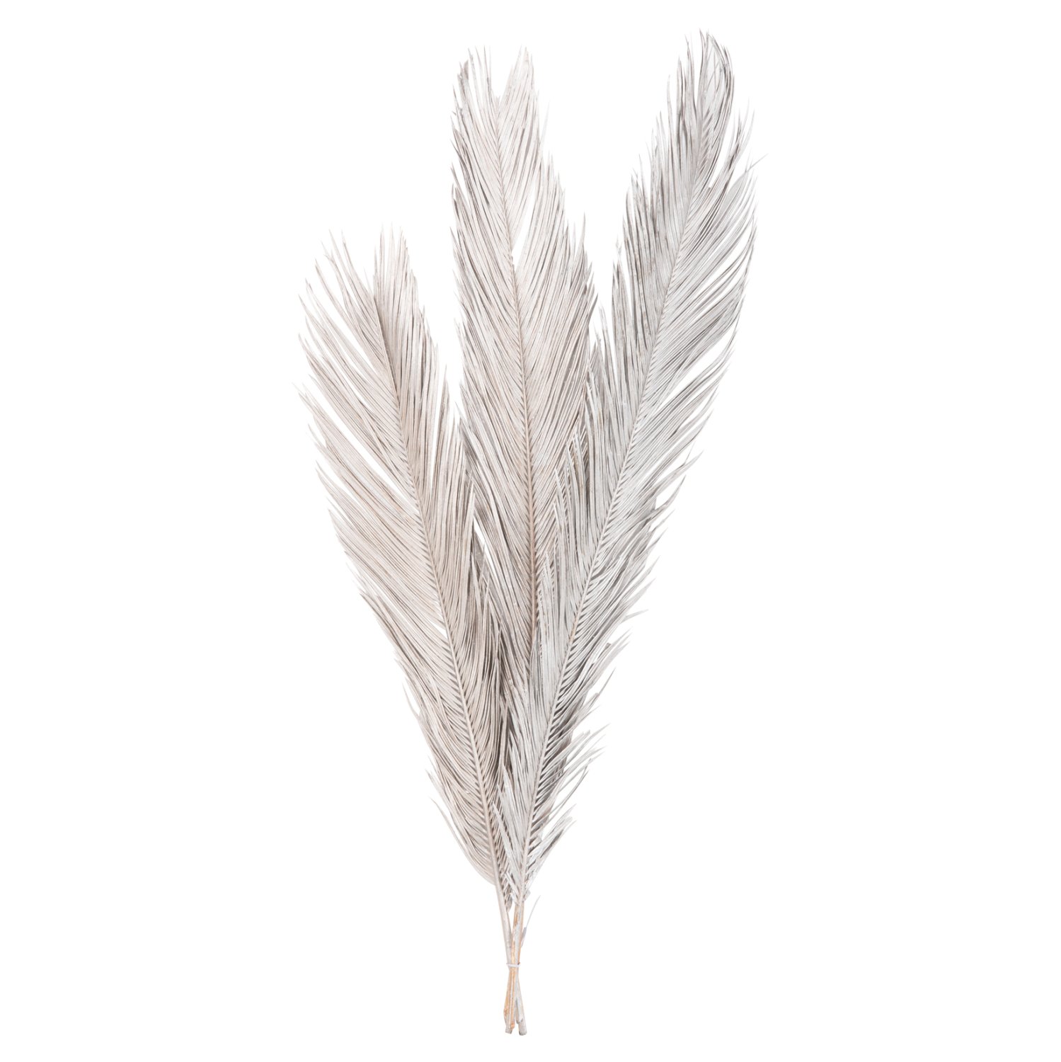 diakosmitiko-apoxirameno-set-3-fyllon-fo ΔΙΑΚΟΣΜΗΤΙΚΟ ΑΠΟΞΗΡΑΜΕΝΟ ΣΕΤ 3 ΦΥΛΛΩΝ ΦΟΙΝΙΚΑ HM7957 ΑΣΗΜΙ 110Υεκ. - Image 1