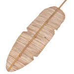 ΔΙΑΚΟΣΜΗΤΙΚΟ ΦΤΕΡΟ HM7874 ΥΔΡΟΥΑΚΙΝΘΟΣ ΣΕ ΦΥΣΙΚΗ ΑΠΟΧΡΩΣΗ 15x200x3 εκ. - Image 3