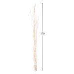 ΔΙΑΚΟΣΜΗΤΙΚΟ ΜΠΟΥΚΕΤΟ 5ΤΜΧ ΑΠΟΞΗΡΑΜΕΝΩΝ ΚΛΑΔΙΩΝ ΙΤΙΑΣ HM7966 ΕΚΡΟΥ 170Υεκ. - Image 2