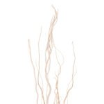 ΔΙΑΚΟΣΜΗΤΙΚΟ ΜΠΟΥΚΕΤΟ 5ΤΜΧ ΑΠΟΞΗΡΑΜΕΝΩΝ ΚΛΑΔΙΩΝ ΙΤΙΑΣ HM7966 ΕΚΡΟΥ 170Υεκ. - Image 3