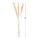 ΔΙΑΚΟΣΜΗΤΙΚΟ ΜΠΟΥΚΕΤΟ ΑΠΟΞΗΡΑΜΕΝΑ ΚΑΛΑΜΙΑ HM7961 ΛΕΥΚΟ 3TMX 140Υεκ. - Image 2