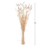 ΔΙΑΚΟΣΜΗΤΙΚΟ ΜΠΟΥΚΕΤΟ ΑΠΟΞΗΡΑΜΕΝΟ HM7959 RABBIT TAIL- CREAM 50gr 76Υεκ. - Image 2