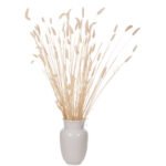 ΔΙΑΚΟΣΜΗΤΙΚΟ ΜΠΟΥΚΕΤΟ ΑΠΟΞΗΡΑΜΕΝΟ HM7959 RABBIT TAIL- CREAM 50gr 76Υεκ. - Image 5