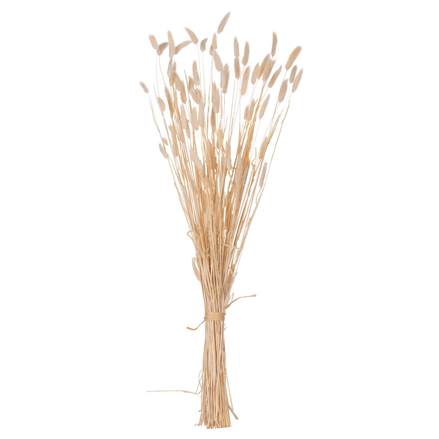 diakosmitiko-mpoyketo-apoxirameno-fb9795 ΔΙΑΚΟΣΜΗΤΙΚΟ ΜΠΟΥΚΕΤΟ ΑΠΟΞΗΡΑΜΕΝΟ HM7959 RABBIT TAIL- CREAM 50gr 76Υεκ. - Image 1