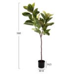 ΔΙΑΚΟΣΜΗΤΙΚΟ ΣΥΝΘΕΤΙΚΟ ΦΥΤΟ HM4000 ΔΡΥΣ ΣΕ ΓΛΑΣΤΡΑ Φ18x14,5-160Υεκ - Image 2