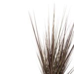 ΔΙΑΚΟΣΜΗΤΙΚΟ ΣΥΝΘΕΤΙΚΟ ΦΥΤΟ HM4011 GRASS ΣΕ ΓΛΑΣΤΡΑ 120Υεκ. - Image 3