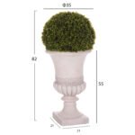 ΔΙΑΚΟΣΜΗΤΙΚΟ ΣΥΝΘΕΤΙΚΟ ΦΥΤΟ HM4023 ΠΥΞΑΡΙ ΣΕ ΑΜΦΟΡΕΑ ΜΑΓΝΗΣΙΟΥ 82Υεκ. - Image 2