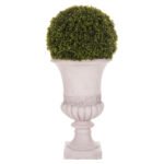 ΔΙΑΚΟΣΜΗΤΙΚΟ ΣΥΝΘΕΤΙΚΟ ΦΥΤΟ HM4023 ΠΥΞΑΡΙ ΣΕ ΑΜΦΟΡΕΑ ΜΑΓΝΗΣΙΟΥ 82Υεκ. - Image 3