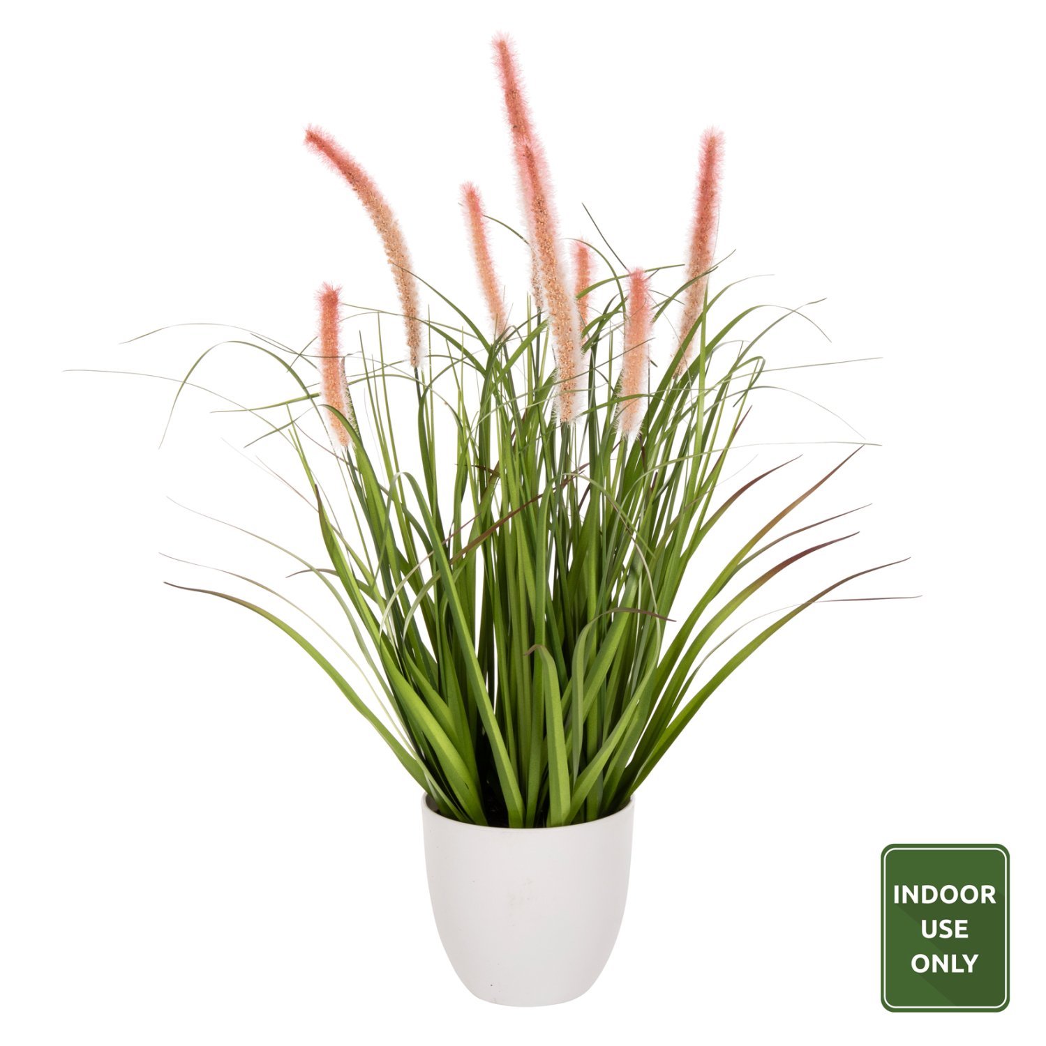 diakosmitiko-synthetiko-fyto-fb94029-bri ΔΙΑΚΟΣΜΗΤΙΚΟ ΣΥΝΘΕΤΙΚΟ ΦΥΤΟ HM4029 BRISTLEGRASS ΣΕ ΓΛΑΣΤΡΑ Φ14,5x13-62Yεκ. - Image 1