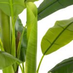 ΔΙΑΚΟΣΜΗΤΙΚΟ ΣΥΝΘΕΤΙΚΟ ΦΥΤΟ HM7968 ΔΕΝΤΡΟ ΜΠΑΝΑΝΑΣ ΣΕ ΓΛΑΣΤΡΑ 123Υεκ. - Image 6