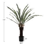 ΔΙΑΚΟΣΜΗΤΙΚΟ ΣΥΝΘΕΤΙΚΟ ΦΥΤΟ HM7975 ΑΣΠΛΕΝΙΟ (ΦΥΛΛΙΤΗΣ Ή ΦΤΕΡΗ) ΣΕ ΓΛΑΣΤΡΑ 137Υεκ. - Image 2