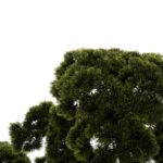 ΔΙΑΚΟΣΜΗΤΙΚΟ ΣΥΝΘΕΤΙΚΟ ΦΥΤΟ HM7976 ΜΠΟΝΣΑΙ 55x130x114Υεκ. - Image 4