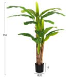 ΔΙΑΚΟΣΜΗΤΙΚΟ ΣΥΝΘΕΤΙΚΟ ΦΥΤΟ HM7977 ΔΕΝΤΡΟ ΜΠΑΝΑΝΑΣ ΣΕ ΓΛΑΣΤΡΑ 150Υεκ. - Image 2