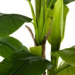 ΔΙΑΚΟΣΜΗΤΙΚΟ ΣΥΝΘΕΤΙΚΟ ΦΥΤΟ HM7977 ΔΕΝΤΡΟ ΜΠΑΝΑΝΑΣ ΣΕ ΓΛΑΣΤΡΑ 150Υεκ. - Image 4