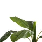 ΔΙΑΚΟΣΜΗΤΙΚΟ ΣΥΝΘΕΤΙΚΟ ΦΥΤΟ HM7979 ΔΕΝΤΡΟ ΜΠΑΝΑΝΑΣ (1) ΣΕ ΓΛΑΣΤΡΑ 180Υεκ. - Image 5