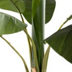 ΔΙΑΚΟΣΜΗΤΙΚΟ ΣΥΝΘΕΤΙΚΟ ΦΥΤΟ HM7979 ΔΕΝΤΡΟ ΜΠΑΝΑΝΑΣ (1) ΣΕ ΓΛΑΣΤΡΑ 180Υεκ. - Image 6