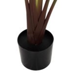 ΔΙΑΚΟΣΜΗΤΙΚΟ ΣΥΝΘΕΤΙΚΟ ΦΥΤΟ HM7981 ΣΤΡΕΛΙΤΣΙΑ ΣΕ ΓΛΑΣΤΡΑ Φ17x14,5-137Y εκ. - Image 5