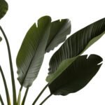 ΔΙΑΚΟΣΜΗΤΙΚΟ ΣΥΝΘΕΤΙΚΟ ΦΥΤΟ HM7982 ΣΤΡΕΛΙΤΣΙΑ ΣΕ ΓΛΑΣΤΡΑ Φ17x14,5-150Yεκ. - Image 4