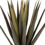 ΔΙΑΚΟΣΜΗΤΙΚΟ ΣΥΝΘΕΤΙΚΟ ΦΥΤΟ HM7985 SISAL AGAVE ΣΕ ΓΛΑΣΤΡΑ  Φ13,5x13-76Υεκ. - Image 3